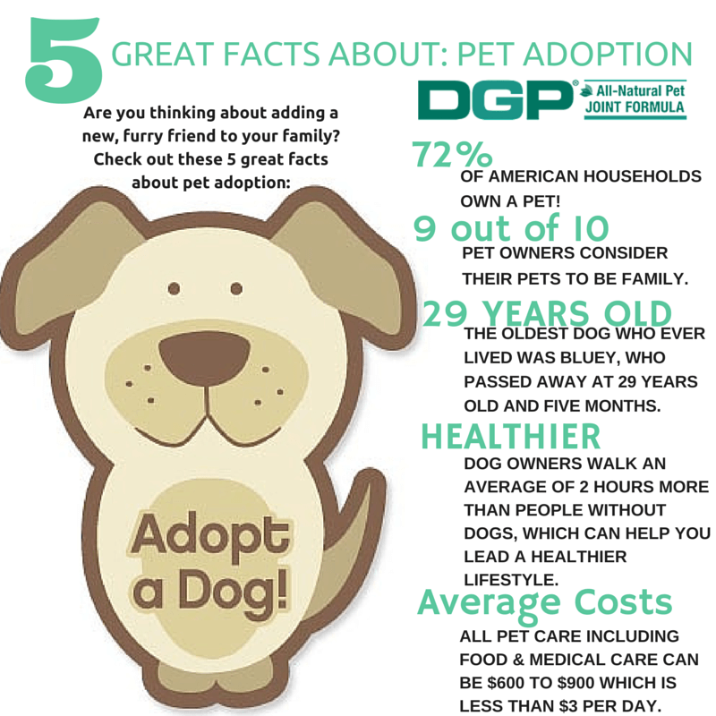 5 Great Facts About Pet Adoption DGP For Pets