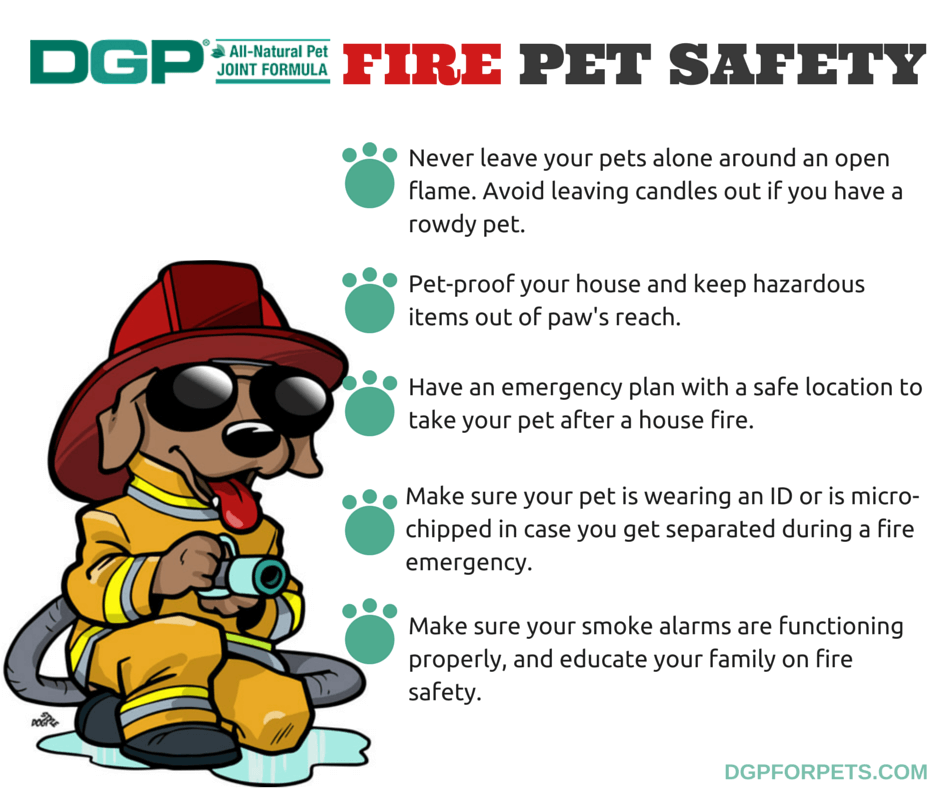 Fire Pet Safety Tips